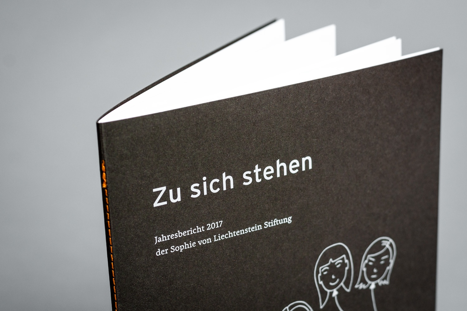 Grafikdesign – Sophie von Liechtenstein Stiftung – Jahresbericht 2017 – Cover