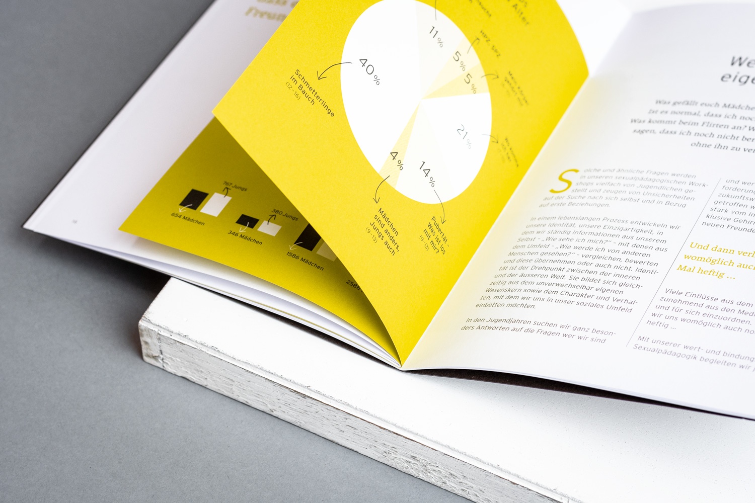Grafikdesign – Sophie von Liechtenstein Stiftung – Jahresbericht 2017 – Informationsdesign