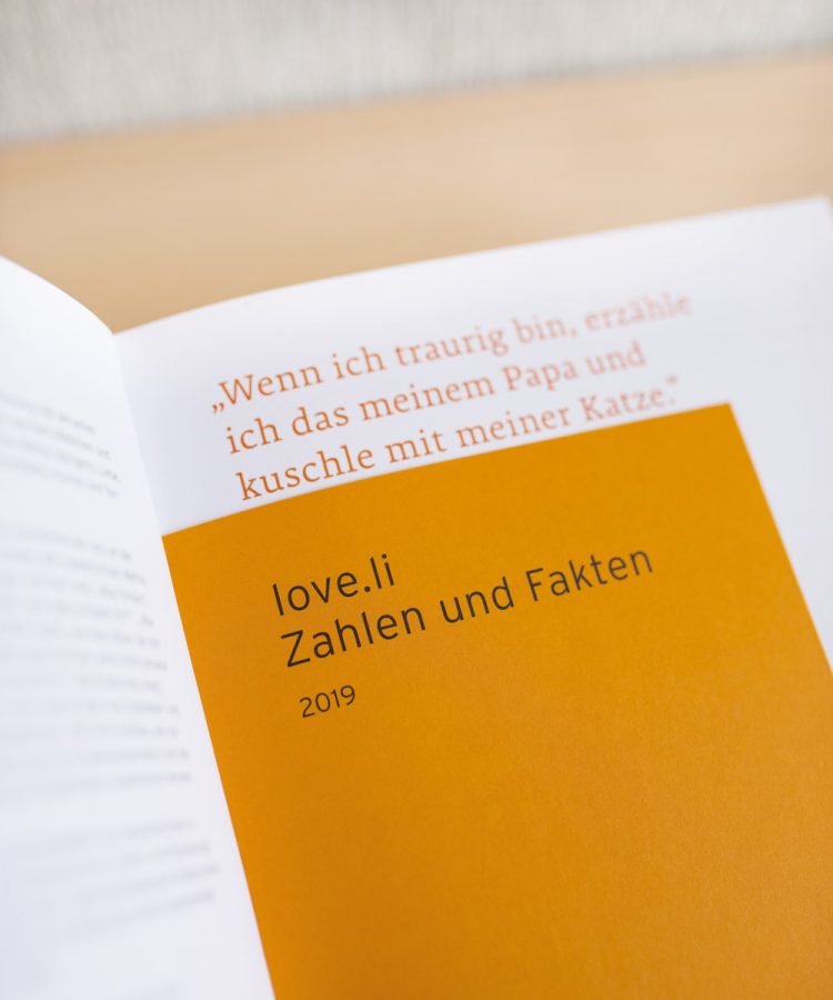 Grafikdesign – Sophie von Liechtenstein Stiftung – Jahresbericht 2019 – Zahlen und Fakten
