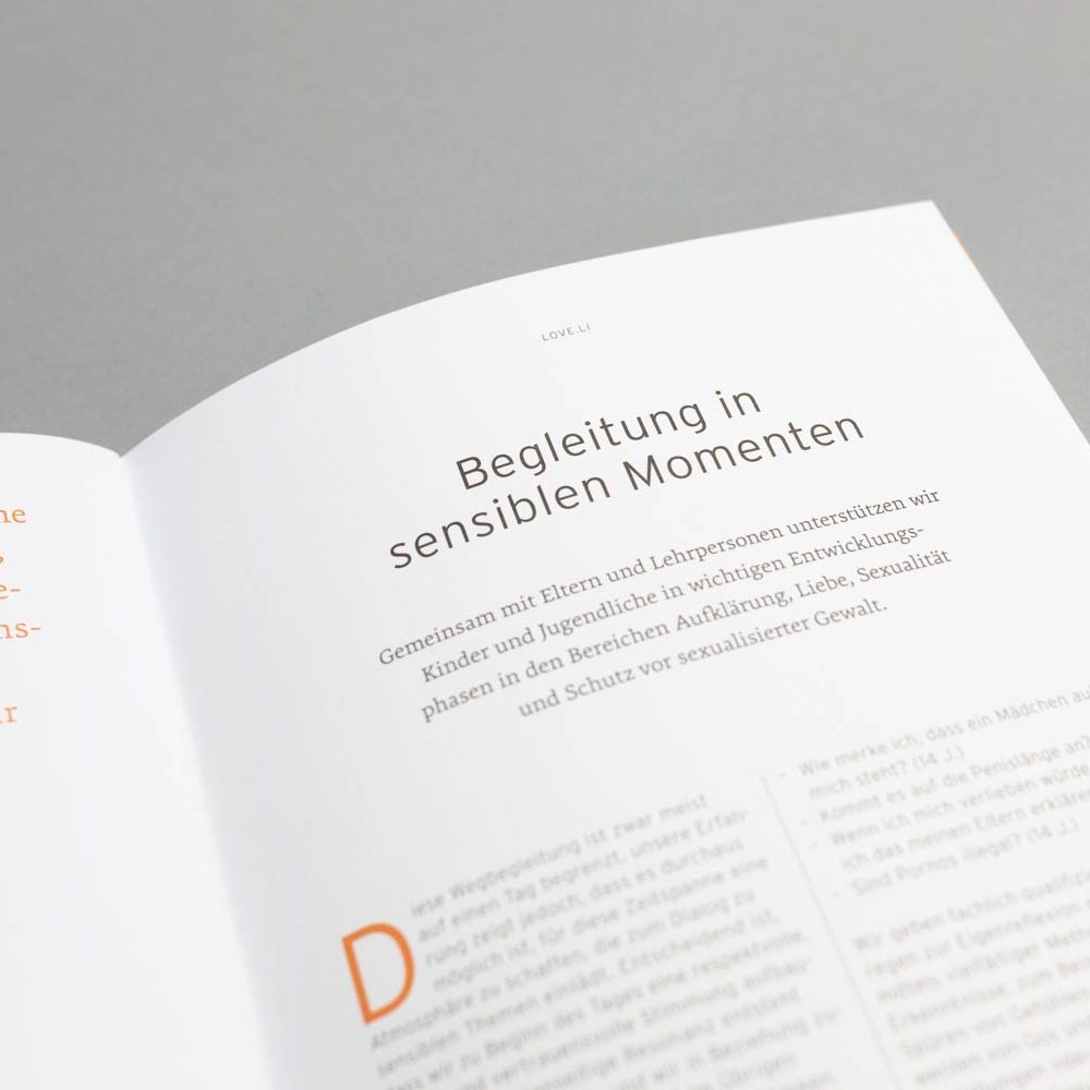 Grafikdesign – Sophie von Liechtenstein Stiftung – Jahresbericht 2020